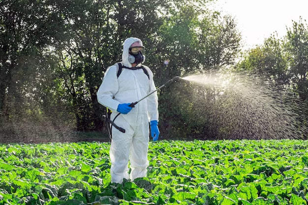 Ben’s Pest Control Expands Expert Pest Control Services to Stuart and Port St. Lucie, FL